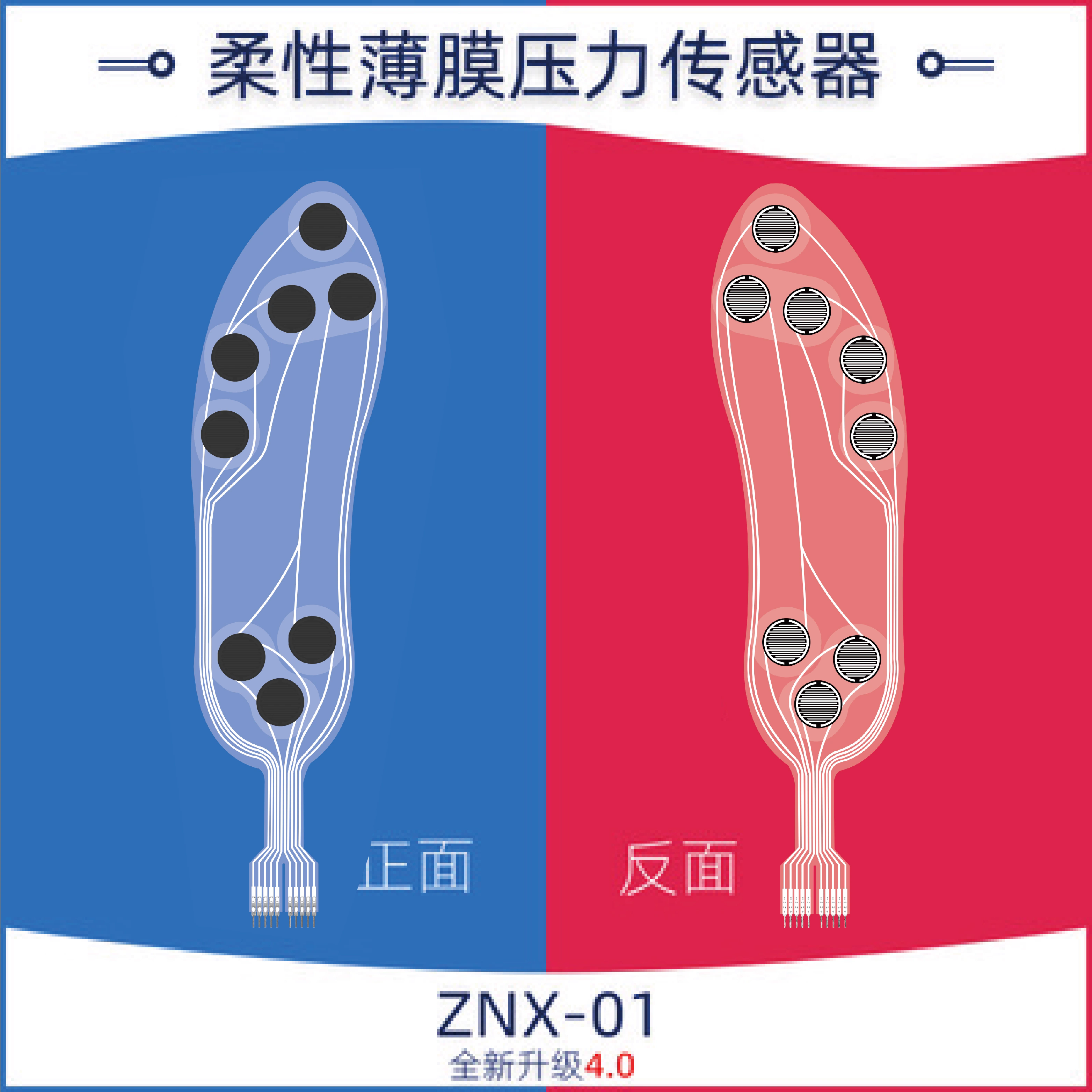 Flexible Thin Film Pressure Se – Smart Insole Pressure Bewertung und Preis