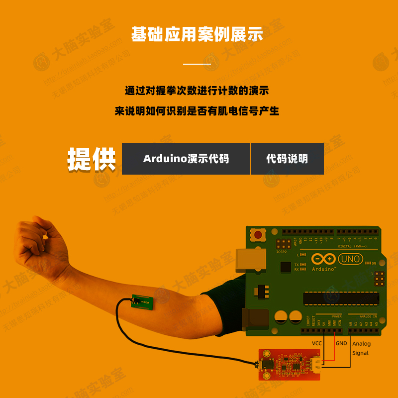 EMG Single Conduction Muscle E – Muscle Sensor Emg Bewertung und Preis